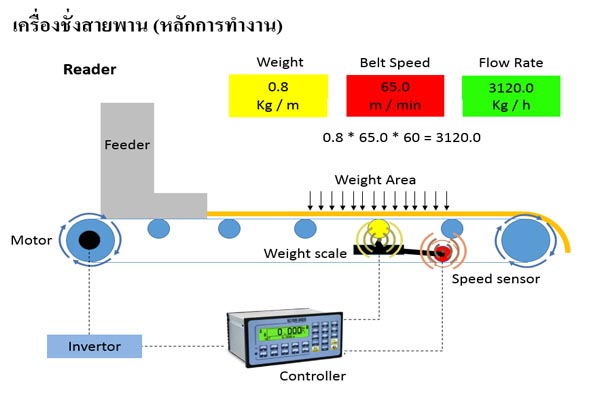 belt-scale-kmu-technology-co-ltd